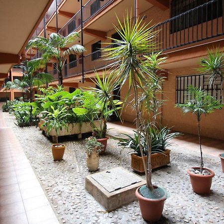 Apartamento Benidorm 3 Εξωτερικό φωτογραφία